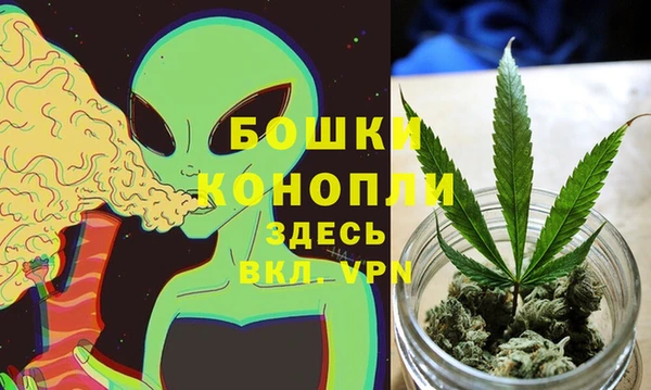 тгк Гусев
