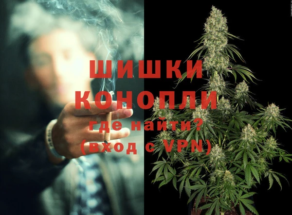 тгк Гусев