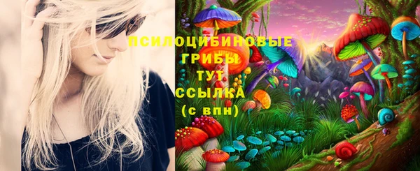 а пвп мука Гусь-Хрустальный