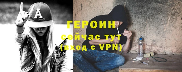 тгк Гусев