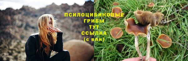 а пвп мука Гусь-Хрустальный