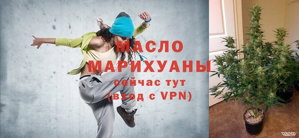 тгк Гусев