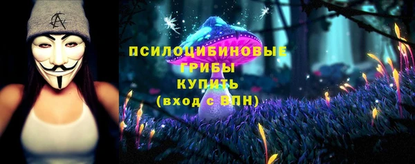 а пвп мука Гусь-Хрустальный