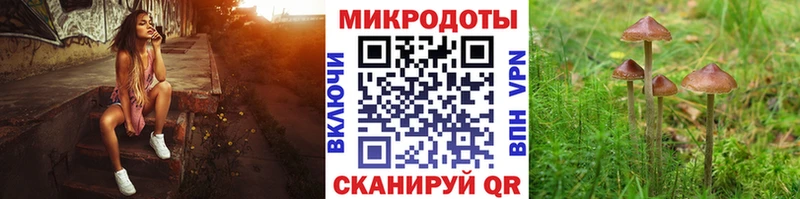 Псилоцибиновые грибы мицелий  Купить  Семикаракорск 